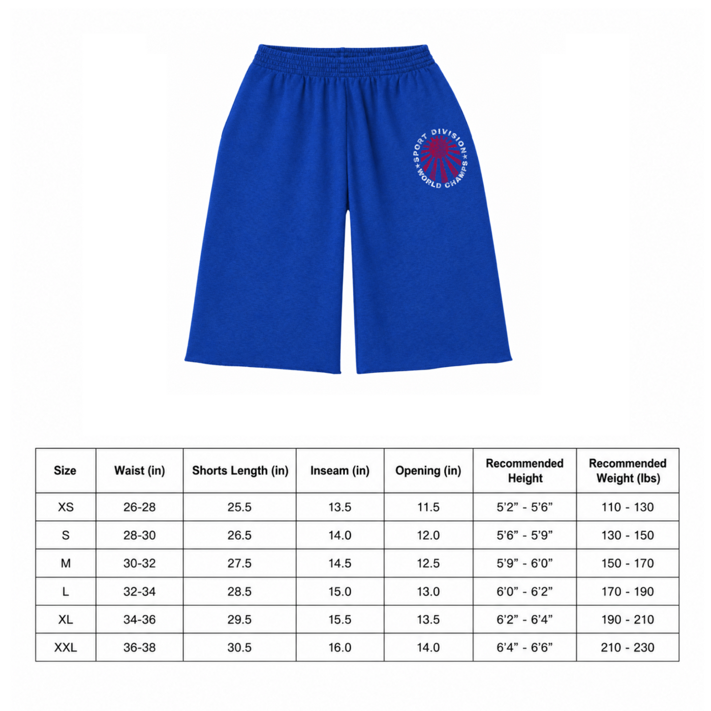 BLUE SPORT DIVISION SHORTS