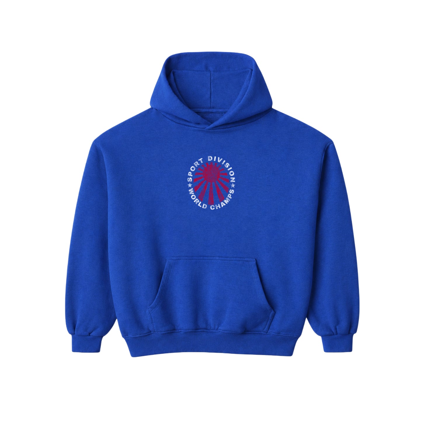BLUE SPORT DIVISION HOODIE