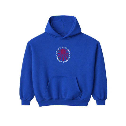 BLUE SPORT DIVISION HOODIE