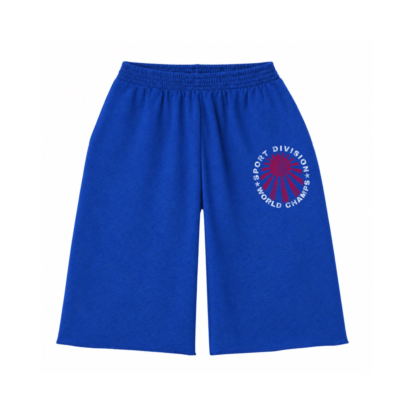 BLUE SPORT DIVISION SHORTS