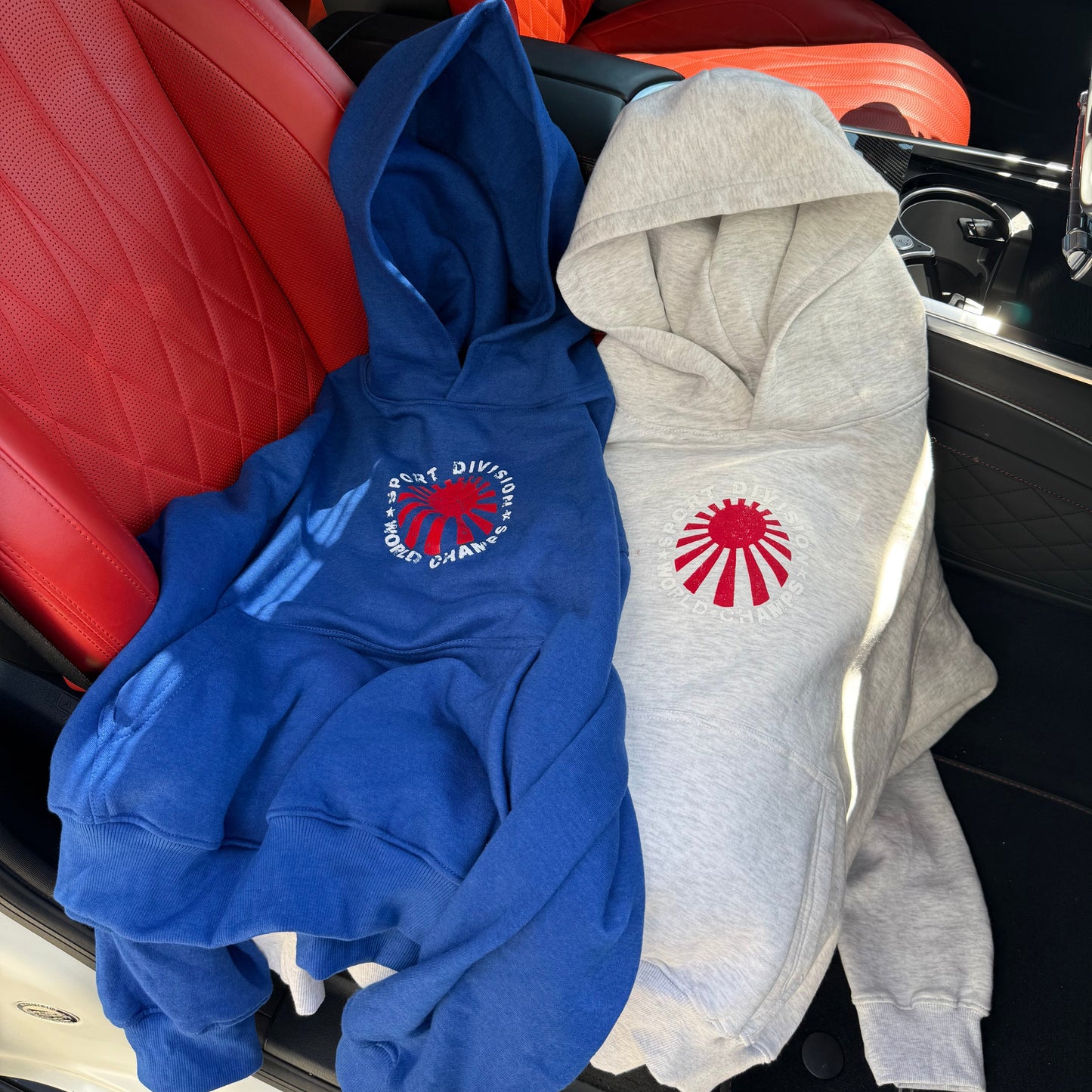 BLUE SPORT DIVISION HOODIE