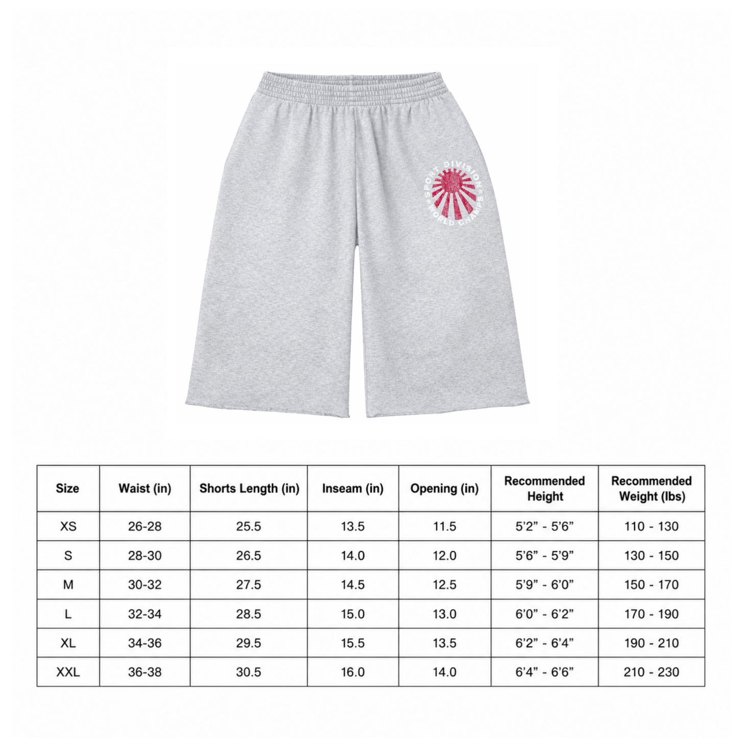 GREY SPORT DIVISION SHORTS