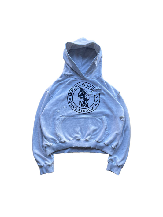 IVBA Hoodie