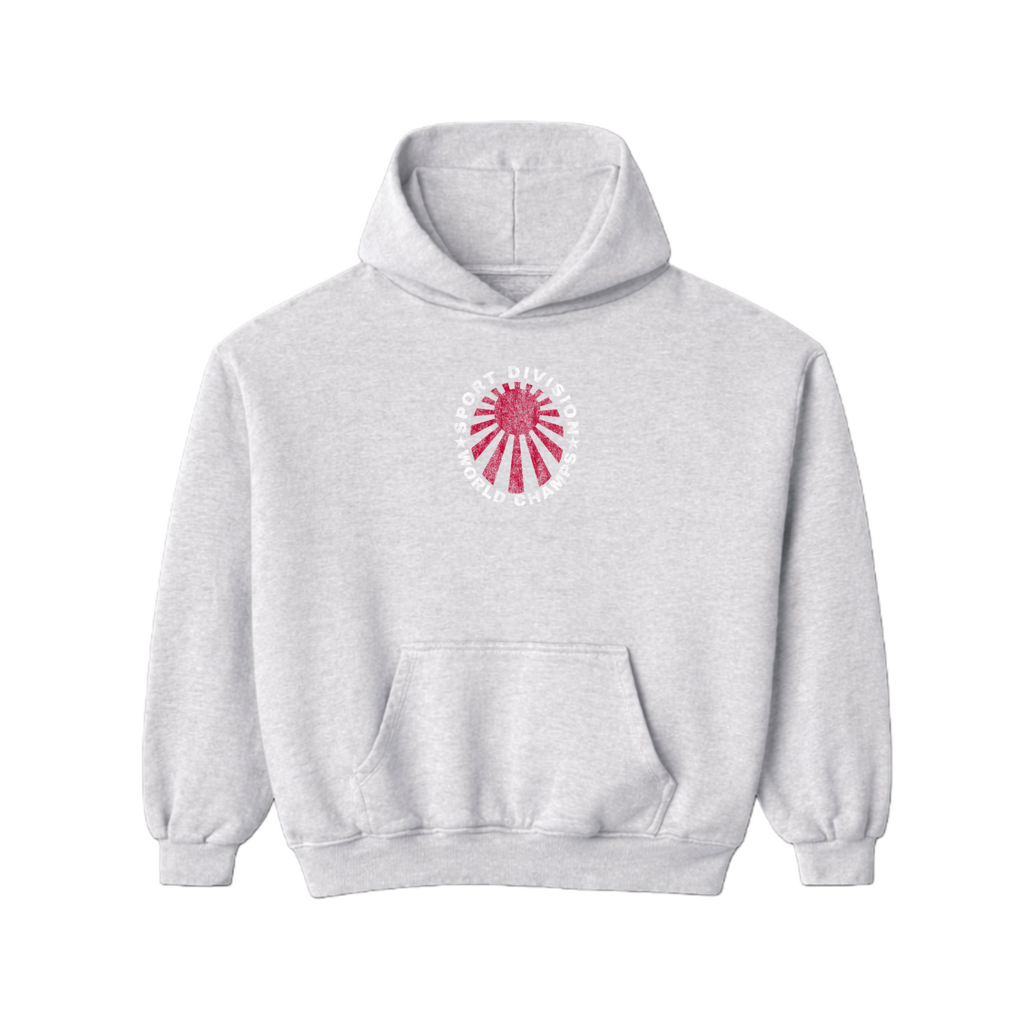 GREY SPORT DIVISION HOODIE